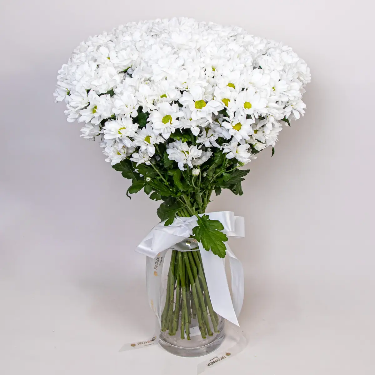 Букет из 35 белых хризантем ромашка купить