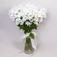 Букет из 35 белых хризантем ромашка купить недорого в Украине, фото 979