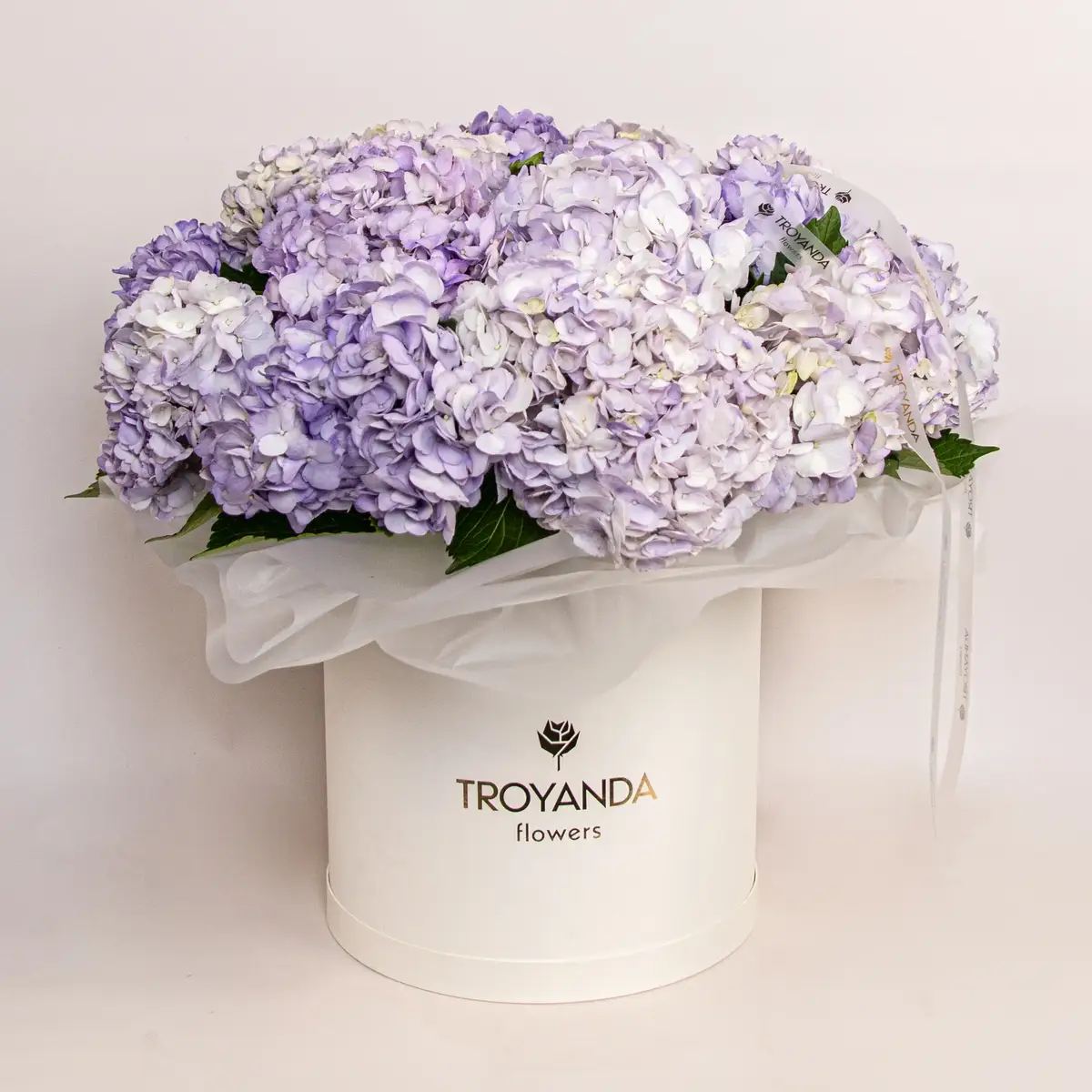 Коробка из 25 лавандовых гортензий купить