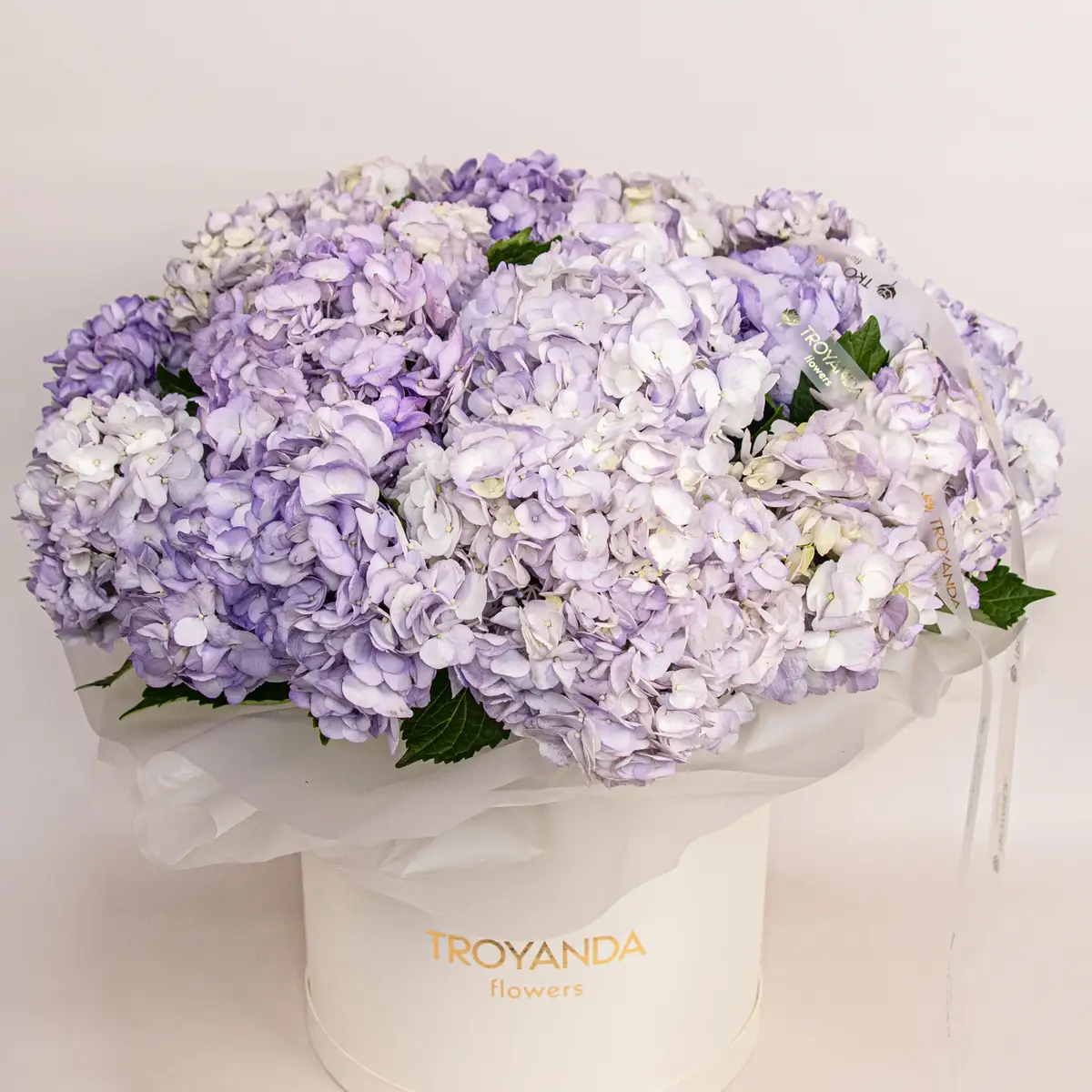 Коробка из 25 лавандовых гортензий купить недорого в Украине, фото 2