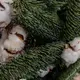 Букет Різдвяний з Нобілісом купити