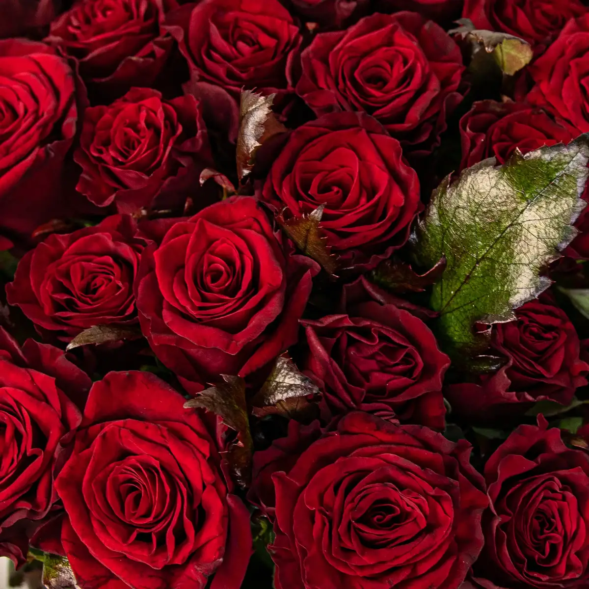 Букет 35 Троянд червоних Престиж купити недорого в Україні, фото 3