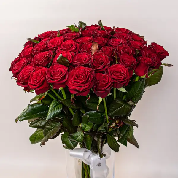 Букет 51 Троянда червона Престиж купити
