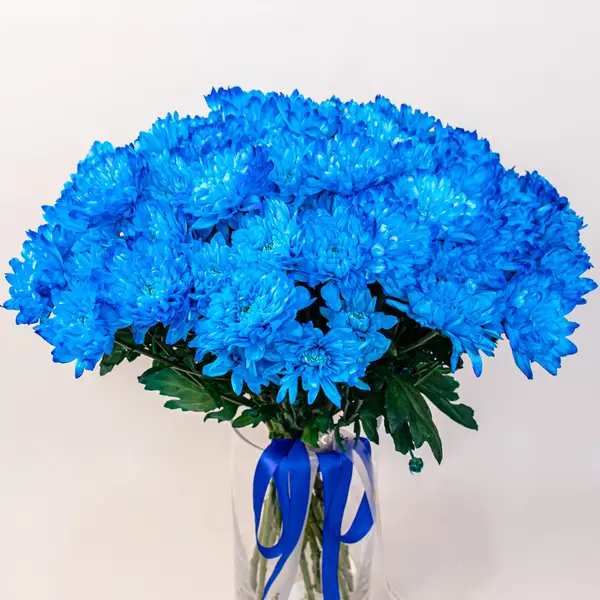 Букет из 15 синих хризантем купить