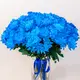 Букет из 15 синих хризантем купить