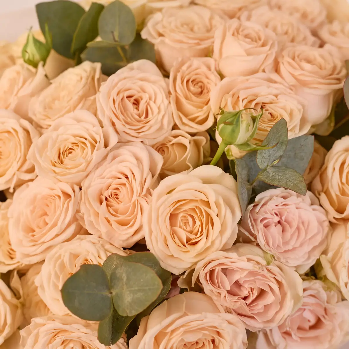 Букет 21 Троянда спрей Софі купити недорого в Україні, фото 3