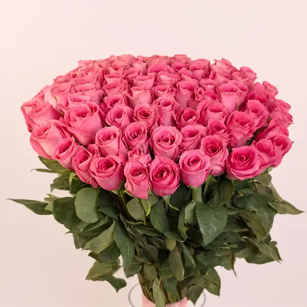 Букет 85 Троянд Вотергейм купити