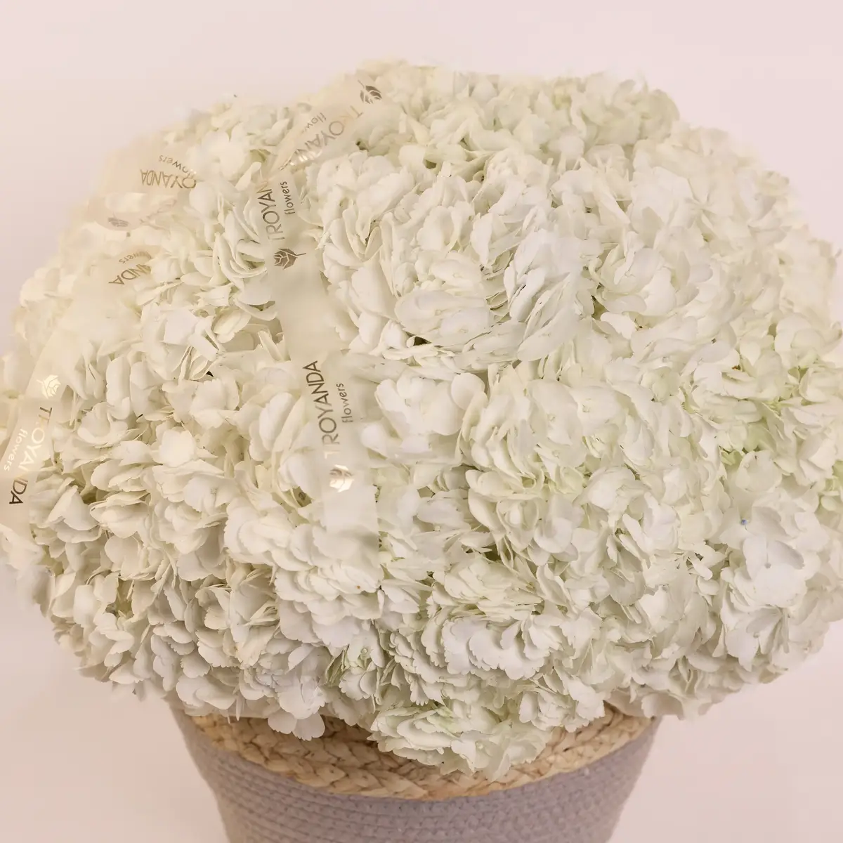 Корзина из 25 белых гортензий купить недорого в Украине, фото 2