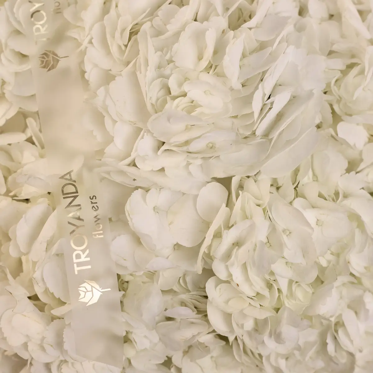 Корзина из 25 белых гортензий купить недорого в Украине, фото 3