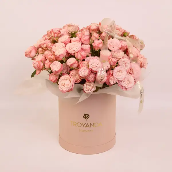 Бокс 31 Троянда Мадам Бомбастик купити