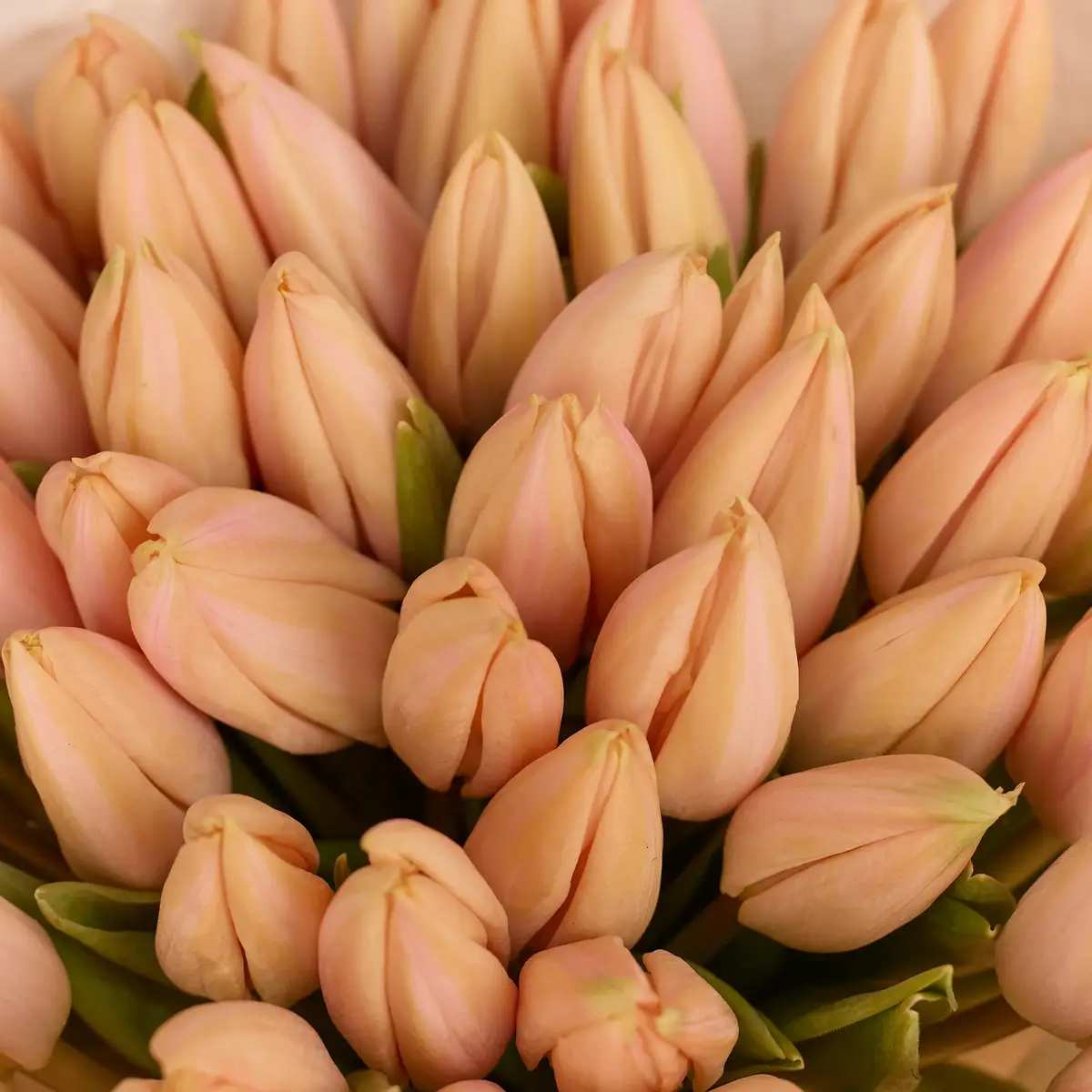 Букет 51 Персиковий Тюльпан купити недорого в Україні, фото 3