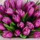 Букет 25 Фиолетовых Тюльпанов купить