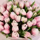 Букет 51 Рожевий піоновидний Тюльпан купити
