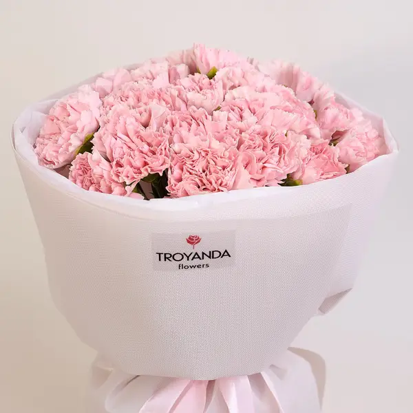 Букет 21 Рожева Гвоздика купити