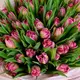 Букет 51 Розовый пионовидный тюльпан купить