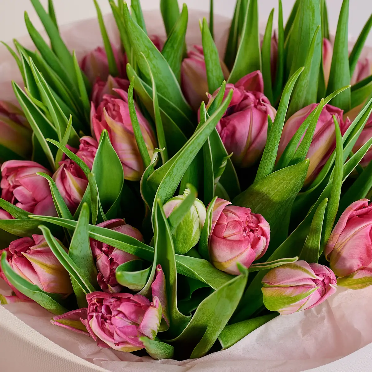 Букет 25 Розовых пионовидных Тюльпанов купить недорого в Украине, фото 3