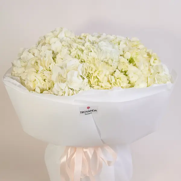 Букет 15 Белых Гортензий купить