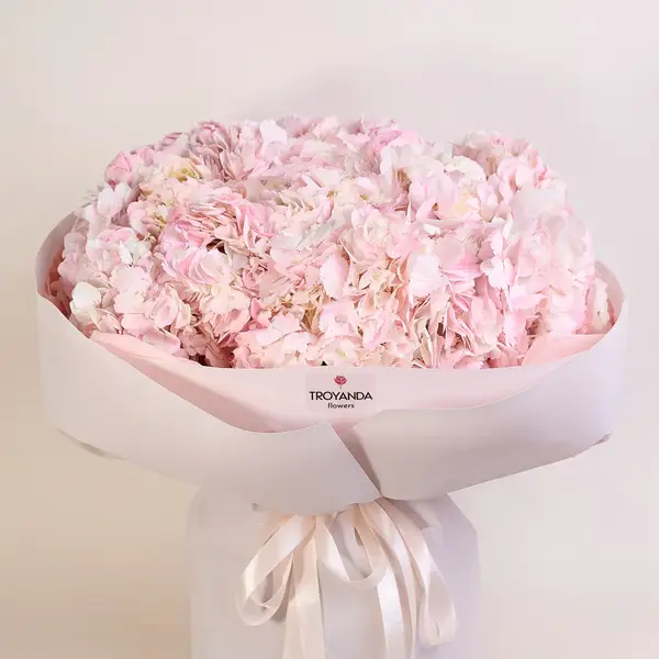 Букет 21 Розовая Гортензия купить